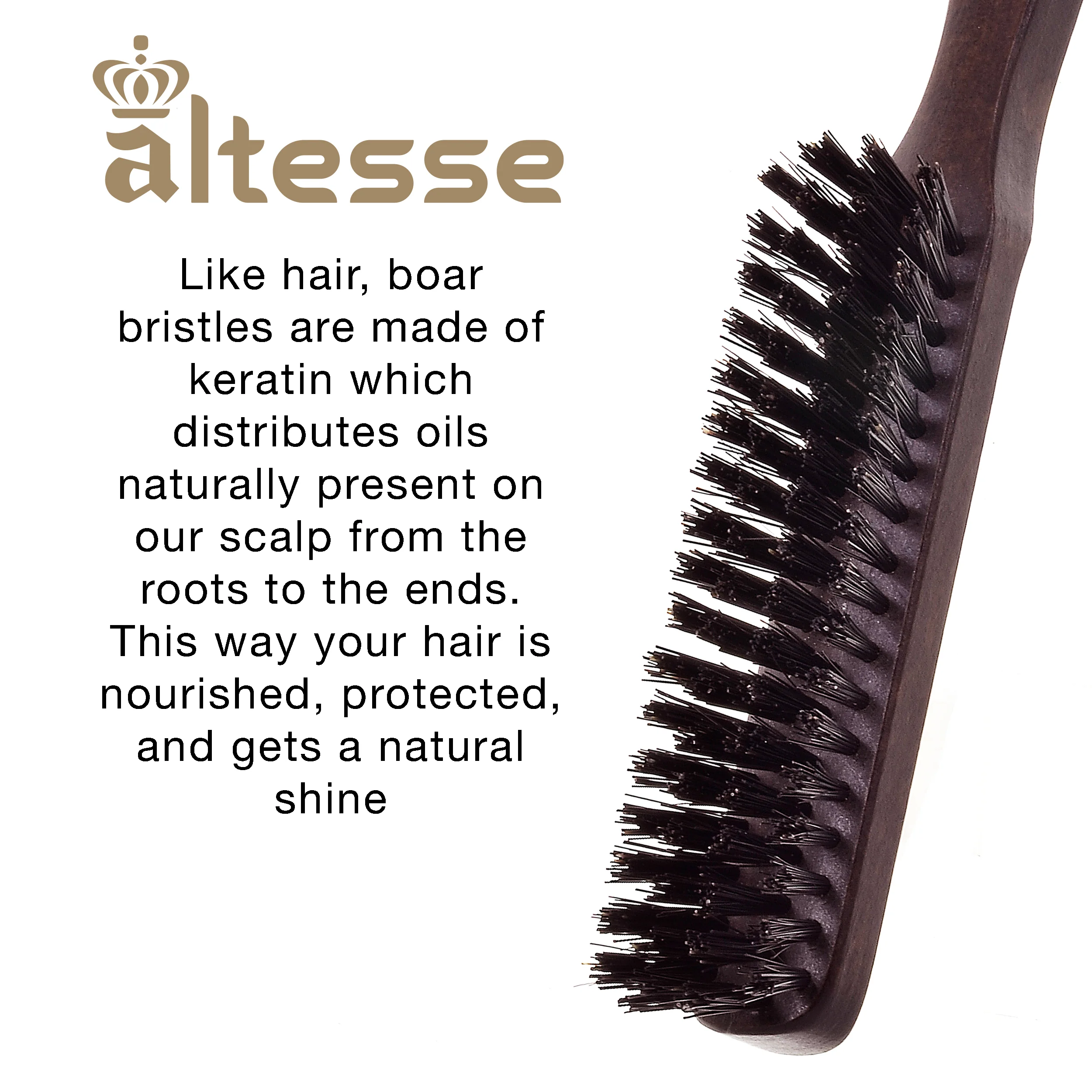 Narrow Natural Bristle Beechwood Hair Brush - Image 5
