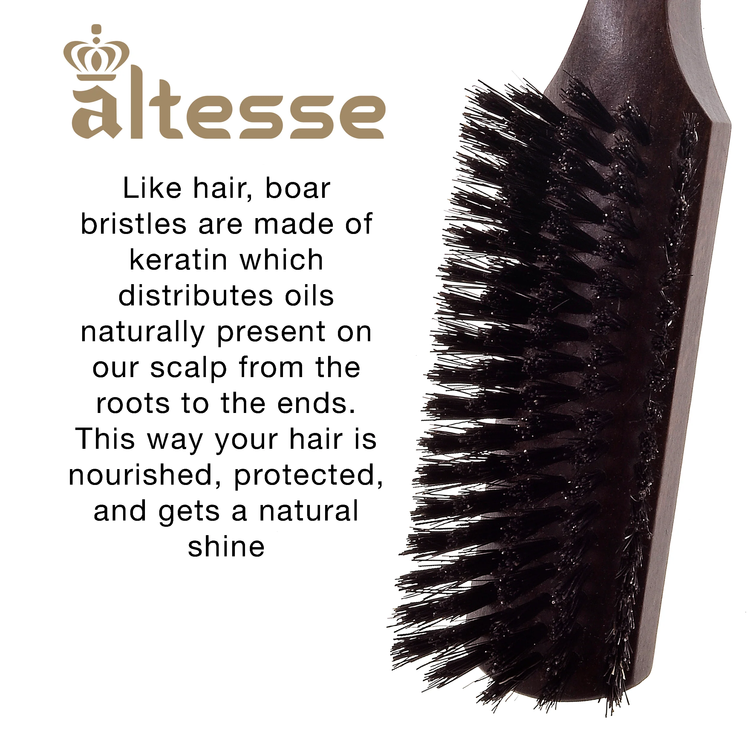 Narrow Natural Bristle Beechwood Hair Brush - Image 9