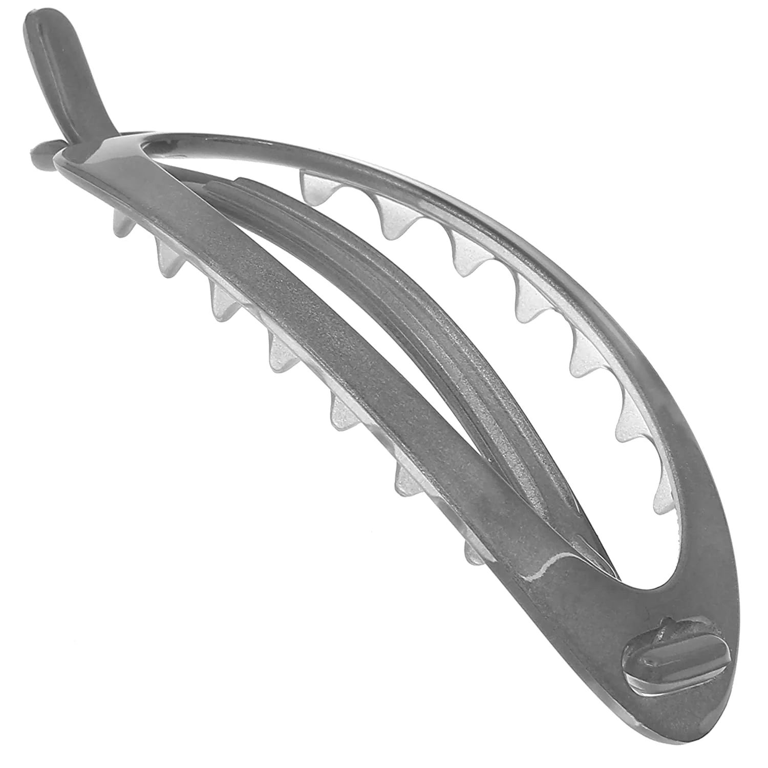 Camila Paris Hair Barrettes CP2320 - Image 5