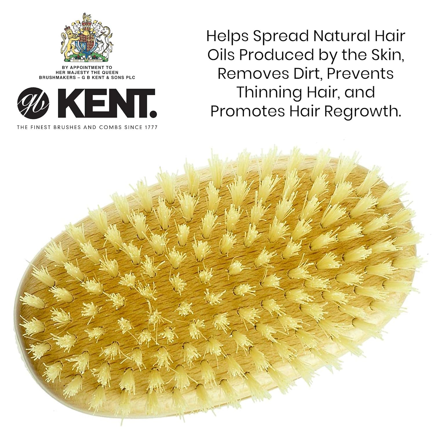 Kent MS11 Military Oval Brush - Image 5